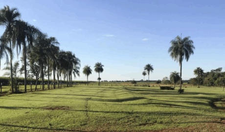 site de classificados de venda fazendas