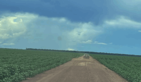 site de classificados de venda haras