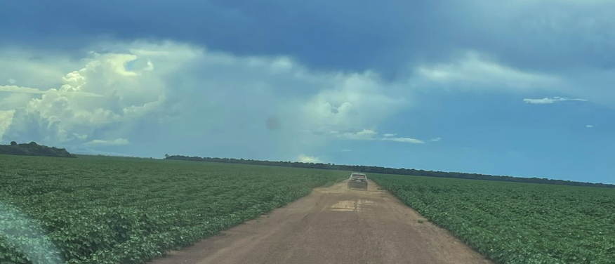 site de classificados de venda haras