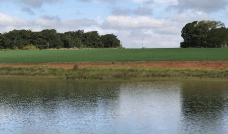 site de classificados de venda de propriedades rurais.