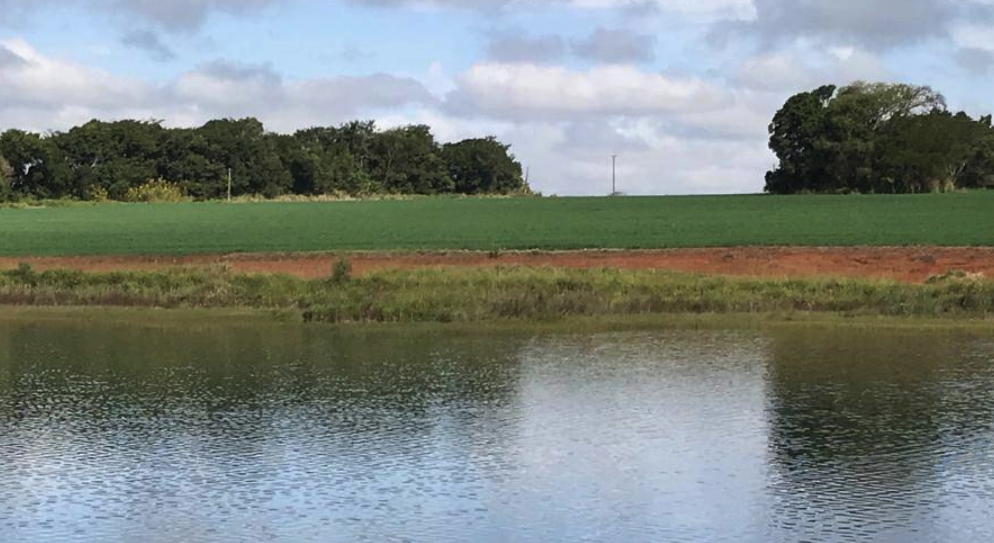 site de classificados de venda de propriedades rurais.