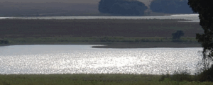 site de classificados de venda de propriedades rurais. site de classificados de venda de propriedades rurais