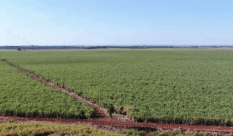 site de classificados de venda rancho no Brasil
