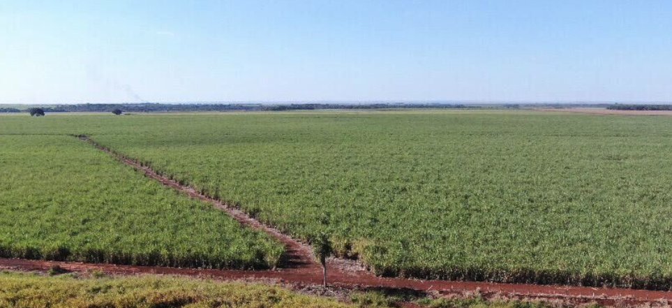 site de classificados de venda rancho no Brasil