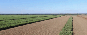 site de classificados de venda rancho no Brasil site de classificados de venda rancho no Brasil