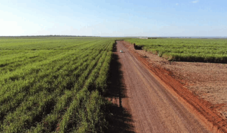 sites de classificados de venda de terras